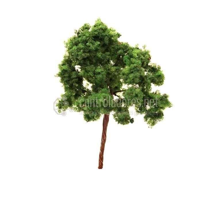 Kleiner grüner Baum