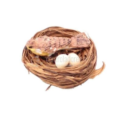 Nest with small bird and two eggs