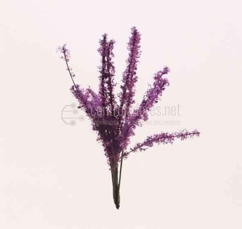 Bush in bloom. Purple (3cm) (2Uds.)