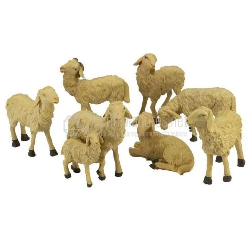 Group of 5 Sheep