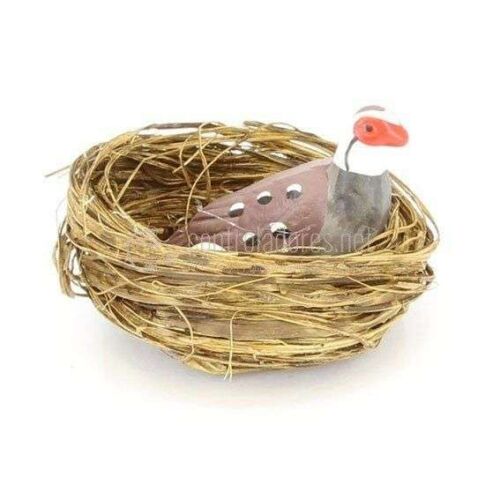 Nest with partridge