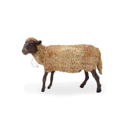Borrega wool for 18 cm.