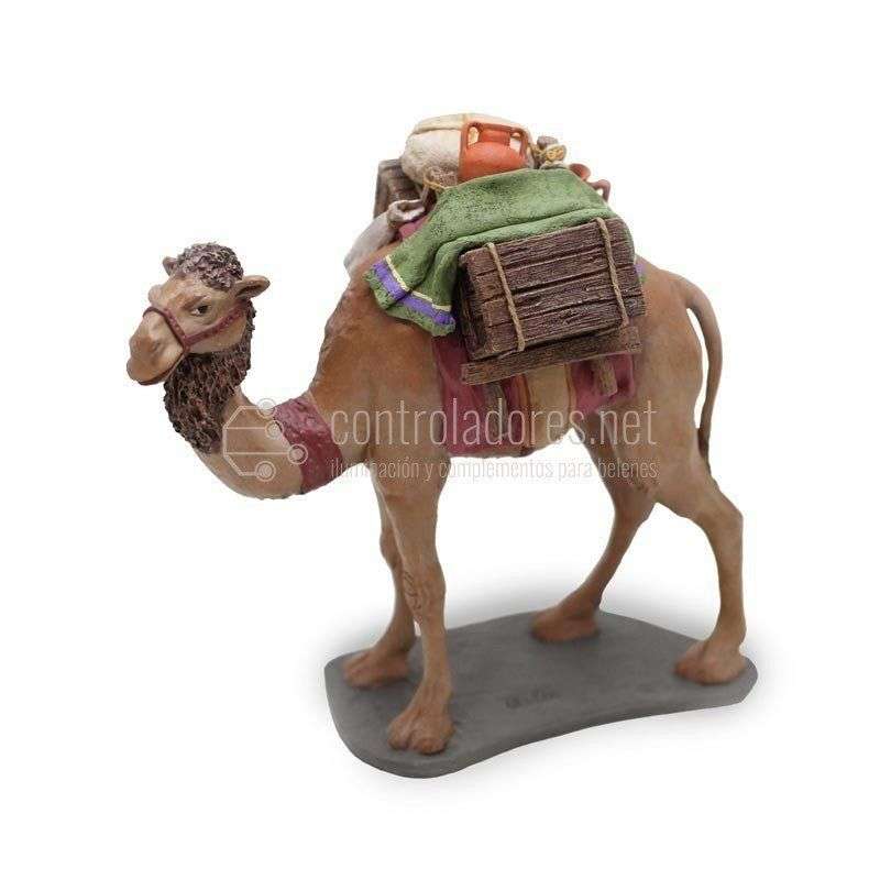 Camello cargado andando Nº 2