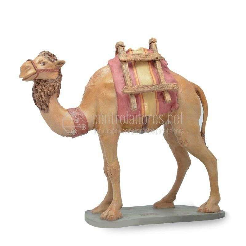 Camello sin carga andando Nº 5