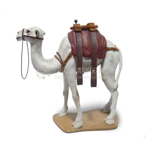 Camello con correas blanco Nº 8