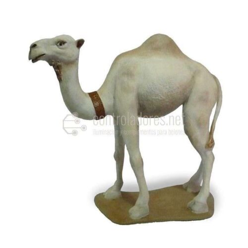 Camel standing white No. 10