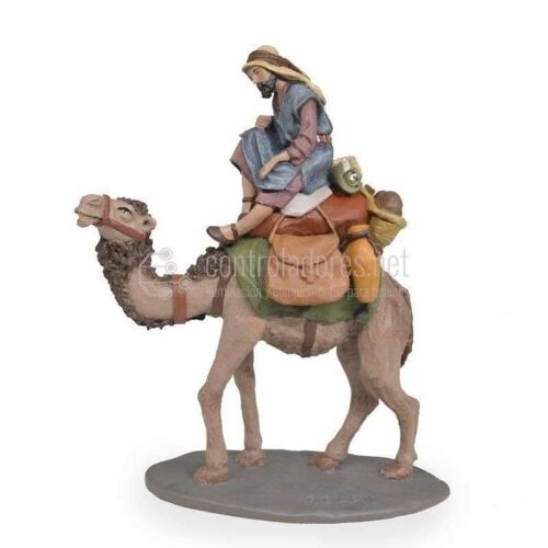 Shepherd on camel with cargo