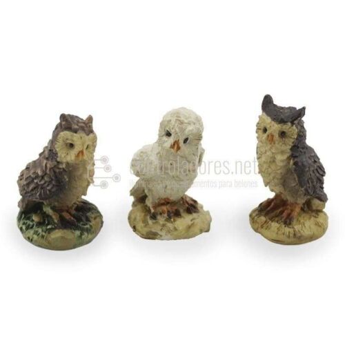 Little owls (3 uds.)