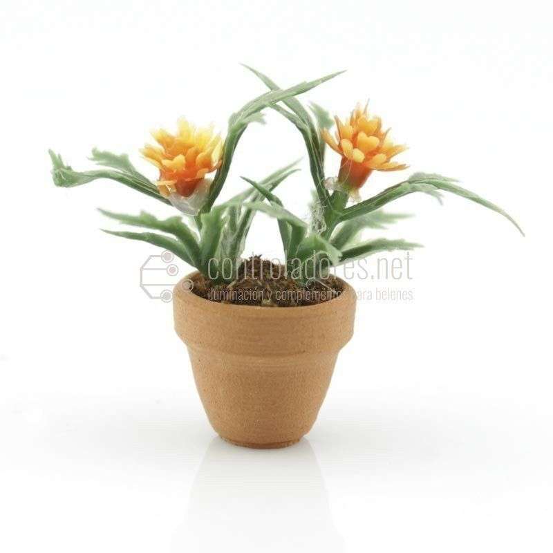 Mini vaso di fiori con fiori d'arancio