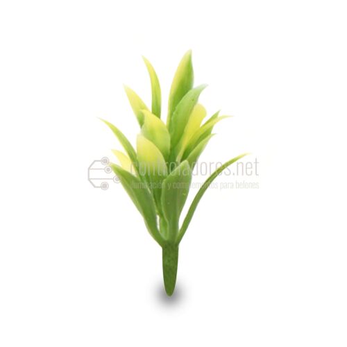 big_plant_amarilla