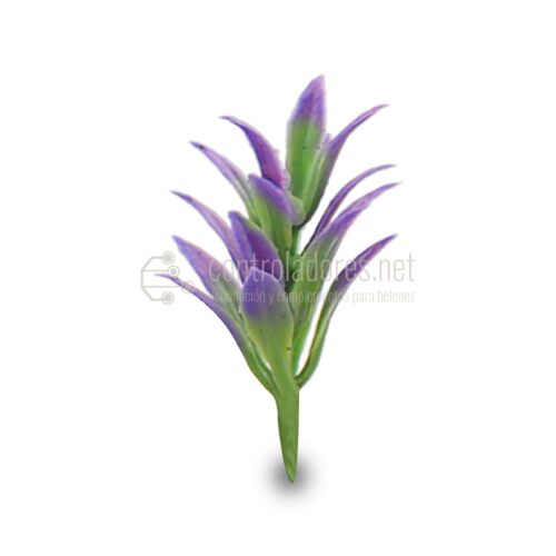 Große violette Pflanze