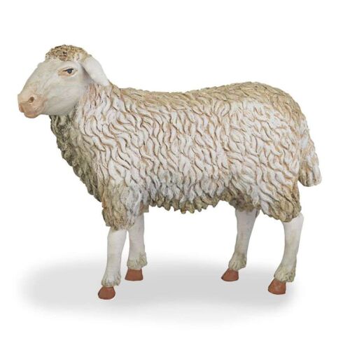 Sheep for 24cm.