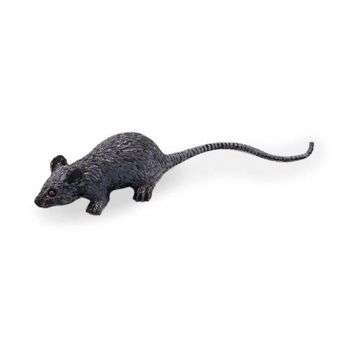 Rata gris (8cm)
